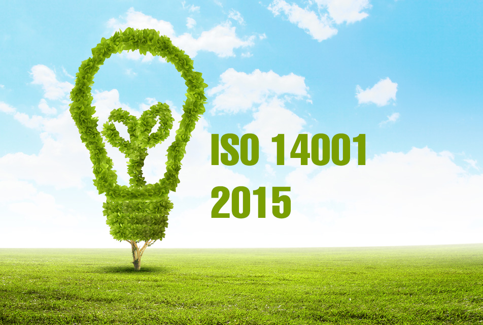 Iso 14001 norma